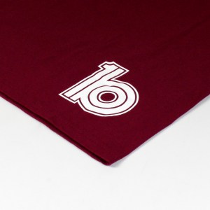 burgundy back logo
