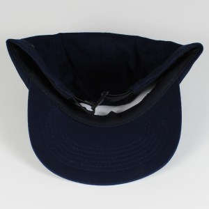 blue 5 panel 3