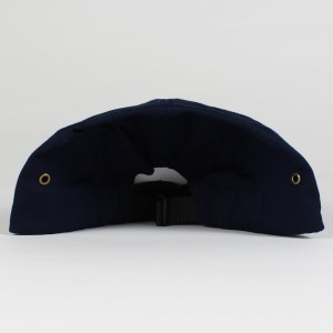 blue 5 panel 4